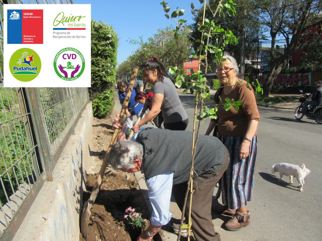 plantación comunitaria 1